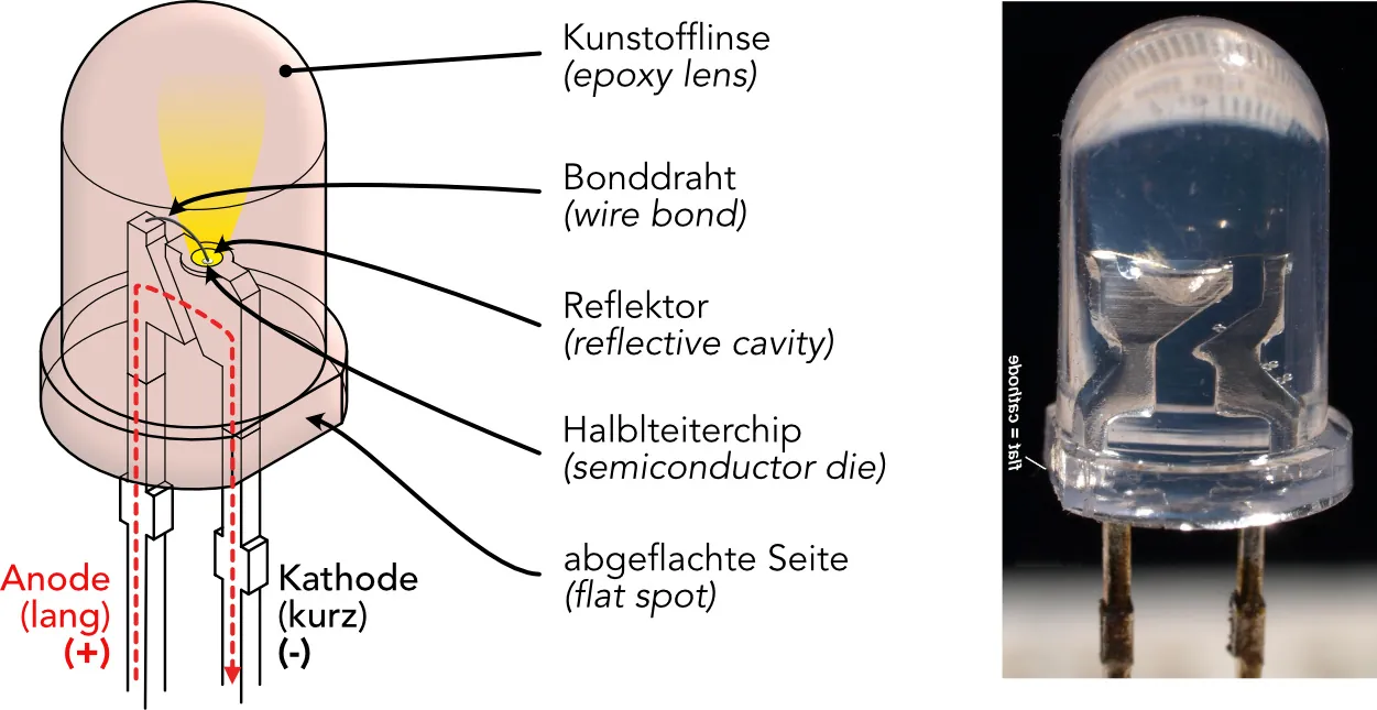 Aufbau einer 5-mm-LED mit Anode und Kathode